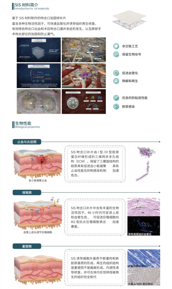 1760319120888944.jpg 图5.jpg