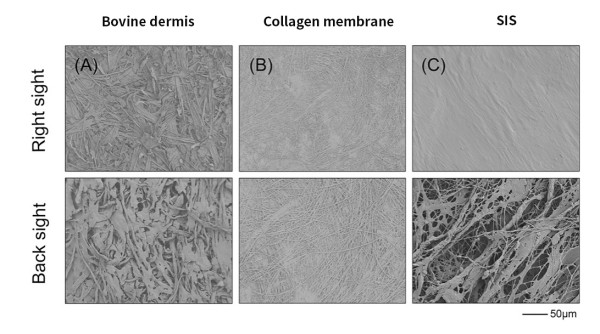 1761526515355175.jpg 图片1.jpg