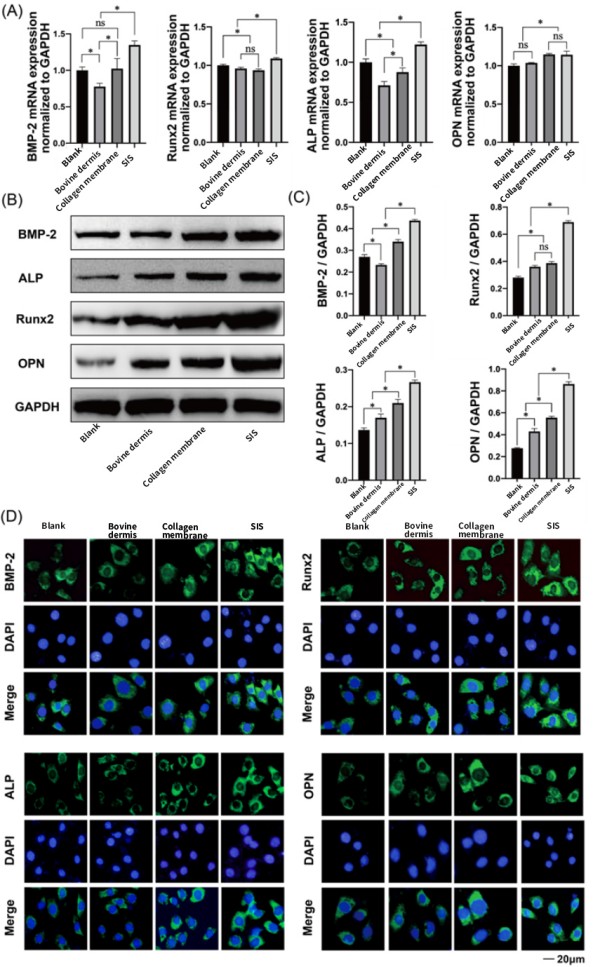1761526637113237.jpg 图片3.jpg