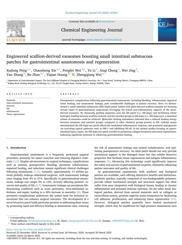 1763080891682068.jpg 文章首页.jpg