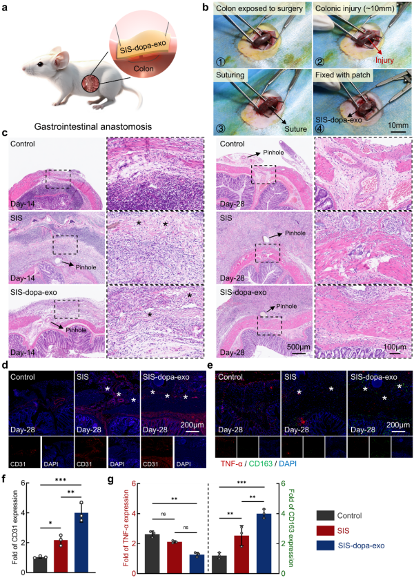 1763081012265450.png 图片4.png