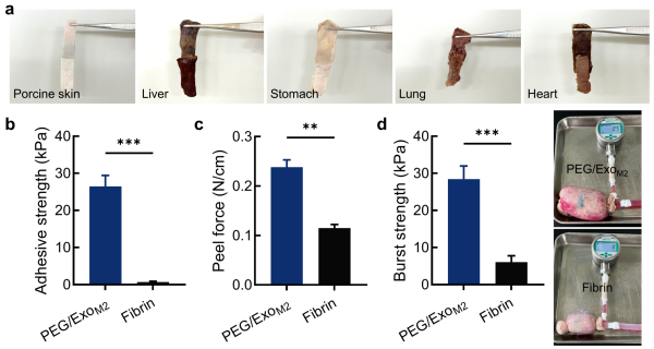 1763514617913727.png 图片1.png