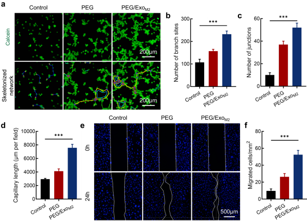 1763514652218154.png 图片3.png