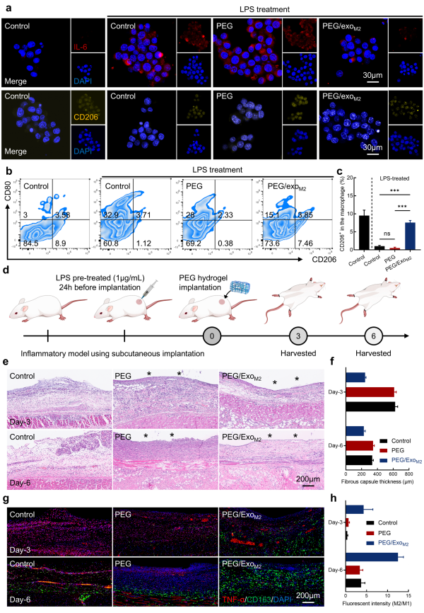 1763514668627872.png 图片4.png