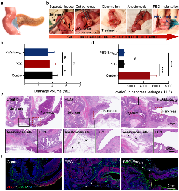 1763514689470032.png 图片6.png