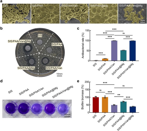 1764119503564684.jpg 图片3-抗菌性能.jpg